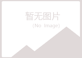 吉林紫山工程有限公司